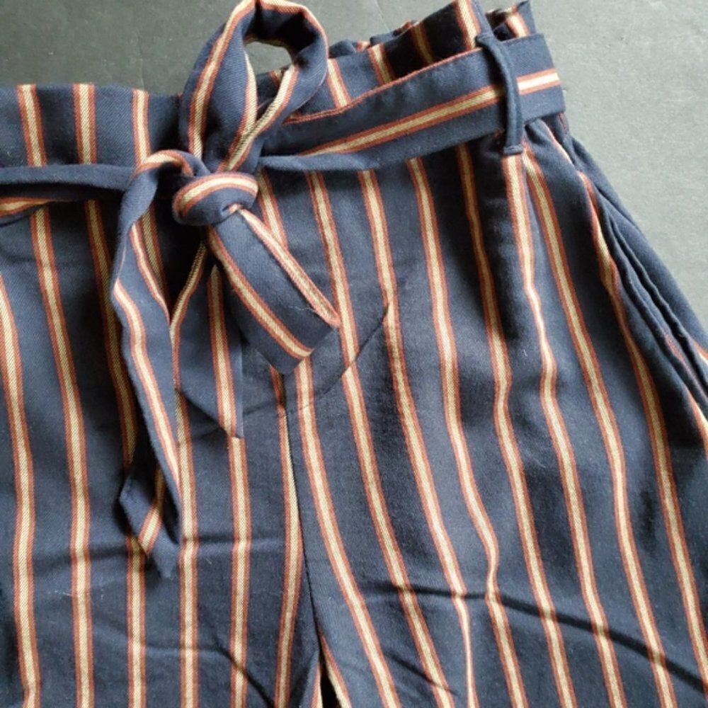 Zara Striped High Waisted Pants - Picture 5 of 14